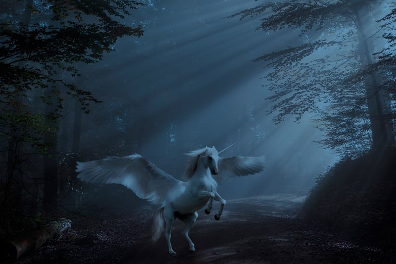 Unicorn